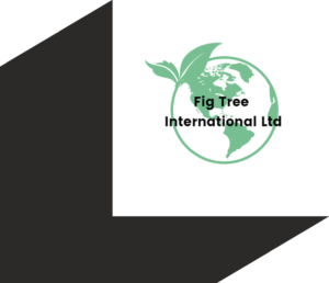 Fig Tree International logo