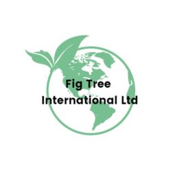Fig Tree International logo