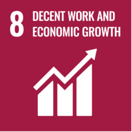 SDG 8: Decent Work and Economic Growth