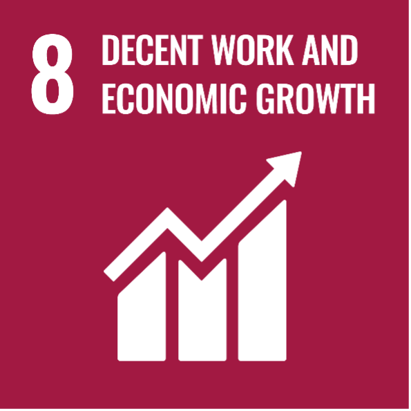 SDG 8 Diverse Educators