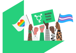 Transgender Rights Toolkit icon