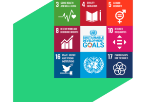 Sustainable Development Goals icon