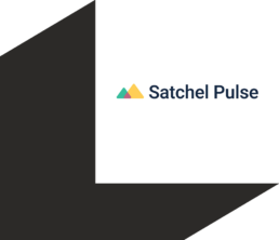 Satchel Pulse logo