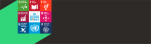 Sustainable Development Goals header